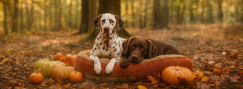 SoMeRo's Kuschelwelt